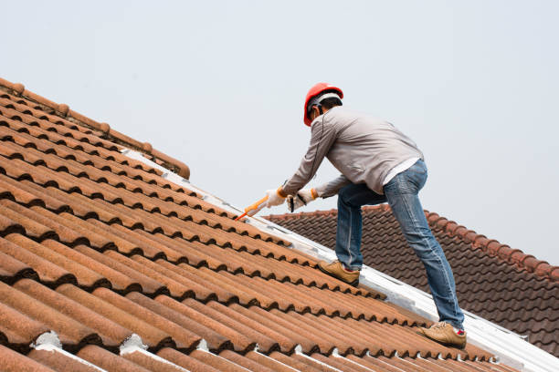 Best Roof Coating and Sealing  in Diamond Springs, CA